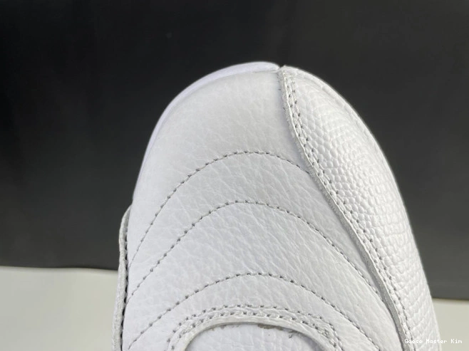 Air Jordan 12 CT8013-106 Twist 0822